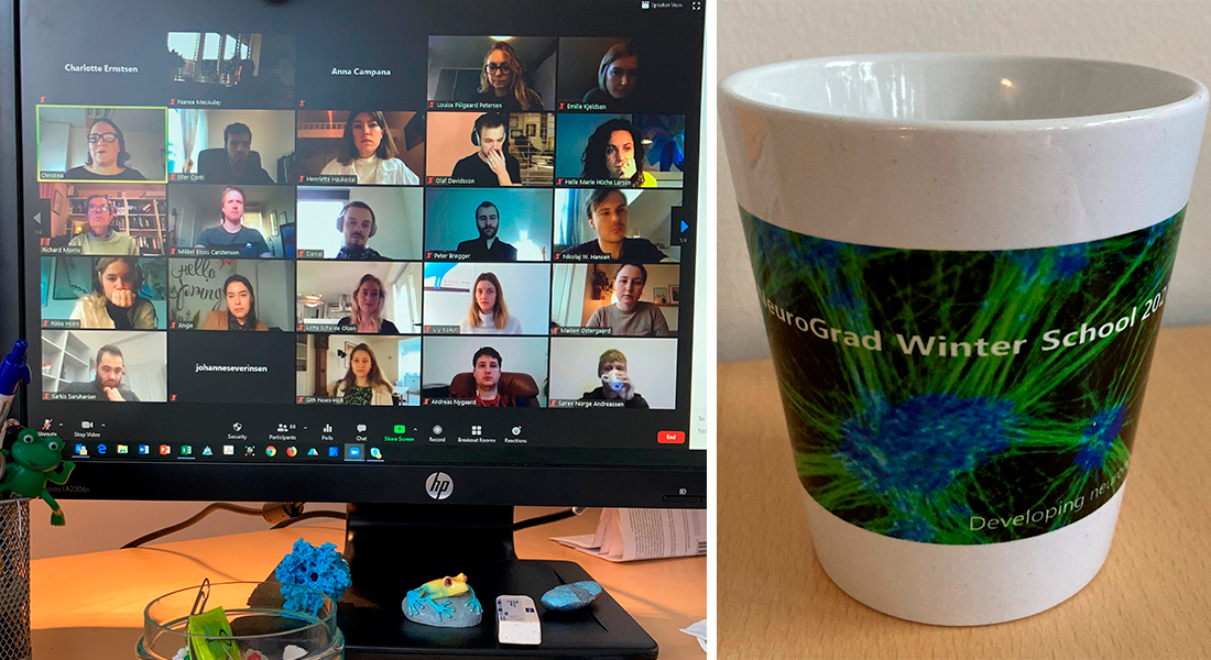 Photos from the online NeuroGrad Winter School showing a screen and a cup with logo